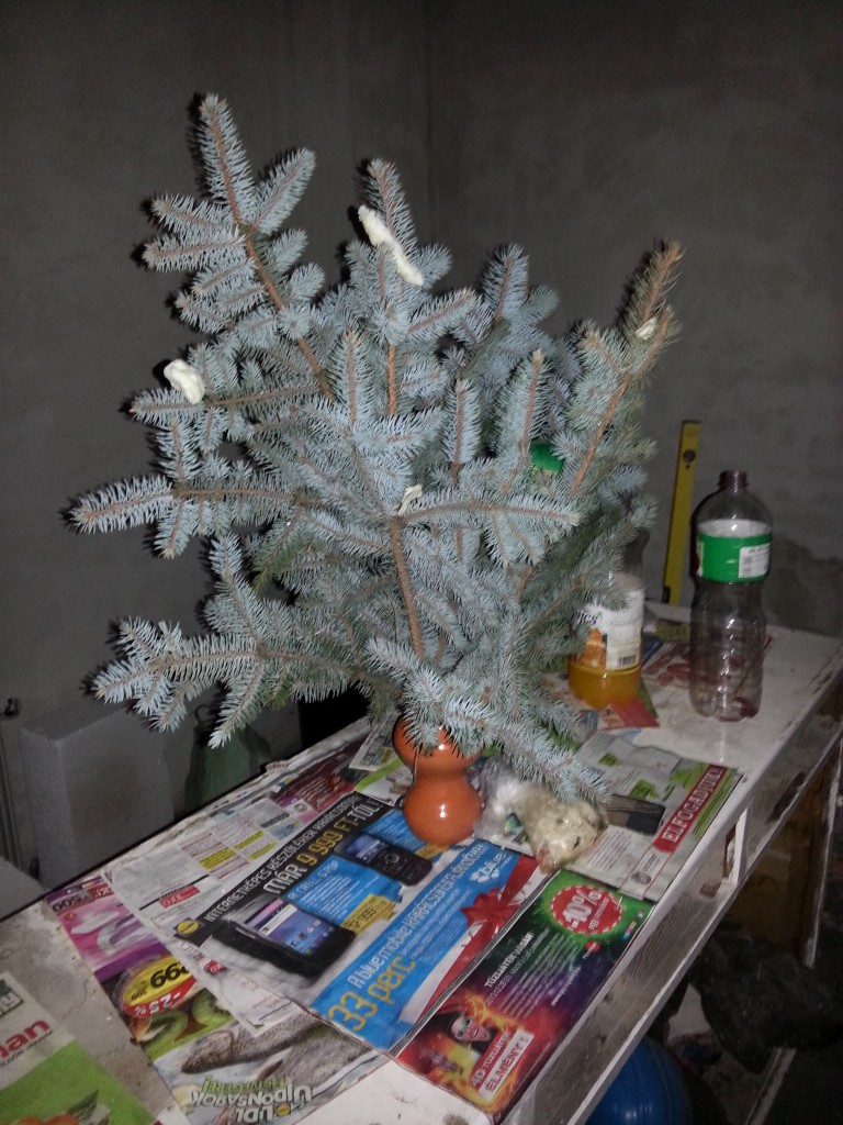 Házépítés - karácsonyfa